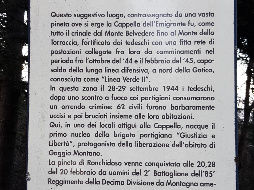 Santuario della Madonna degli Emigranti景点图片