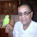 BalkrishnaShroff