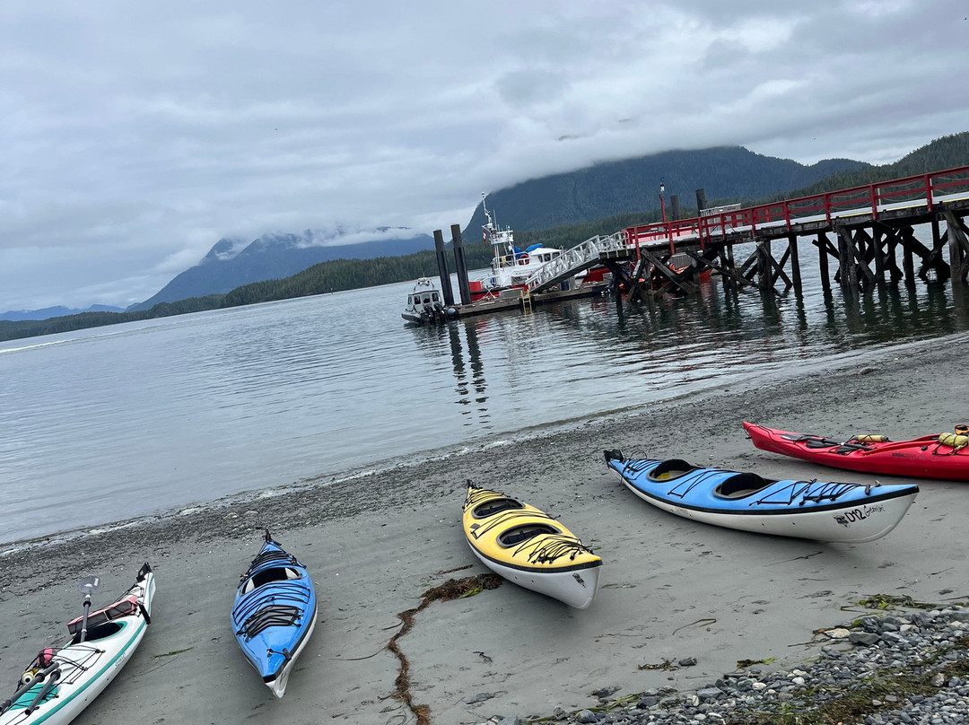 Tofino Sea Kayaking Day Tours景点图片