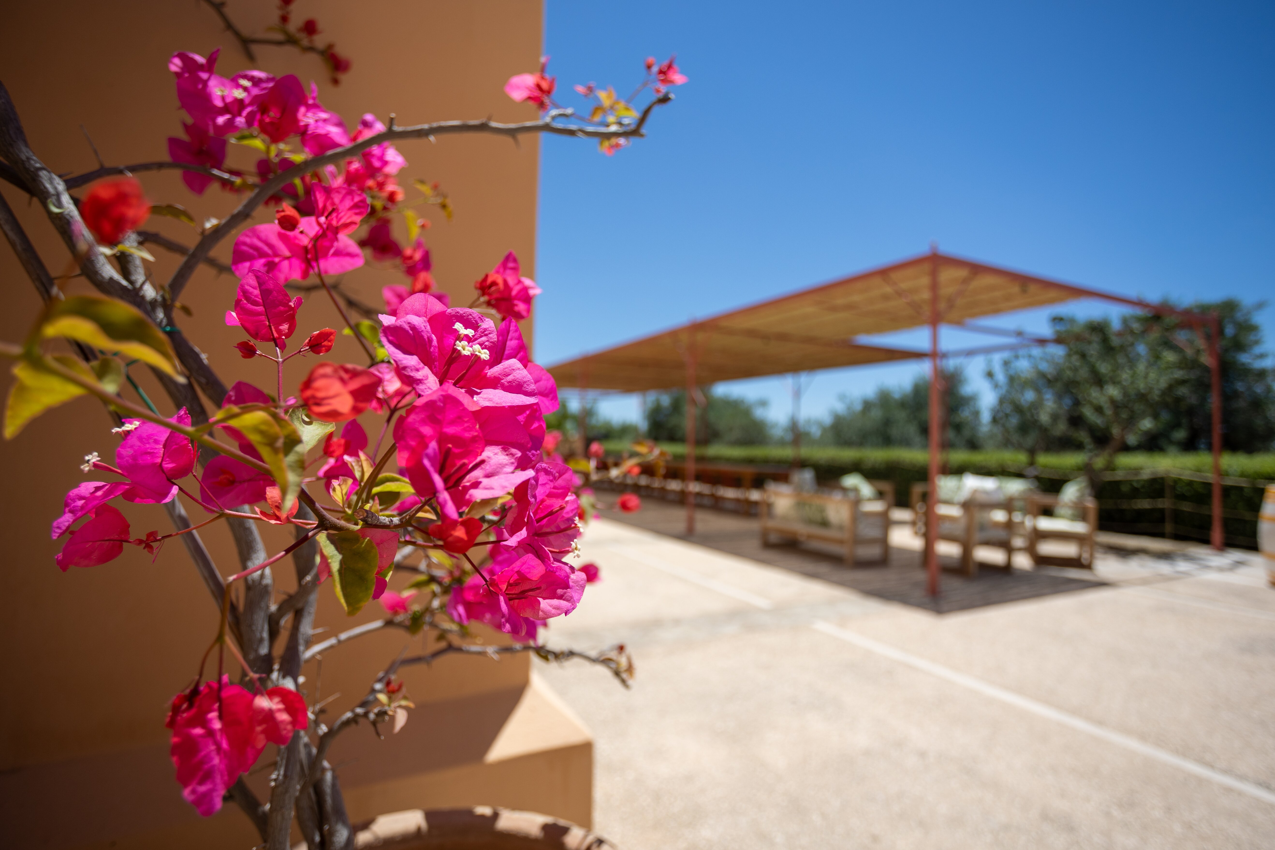 Country House - Planeta Estate-餐饮