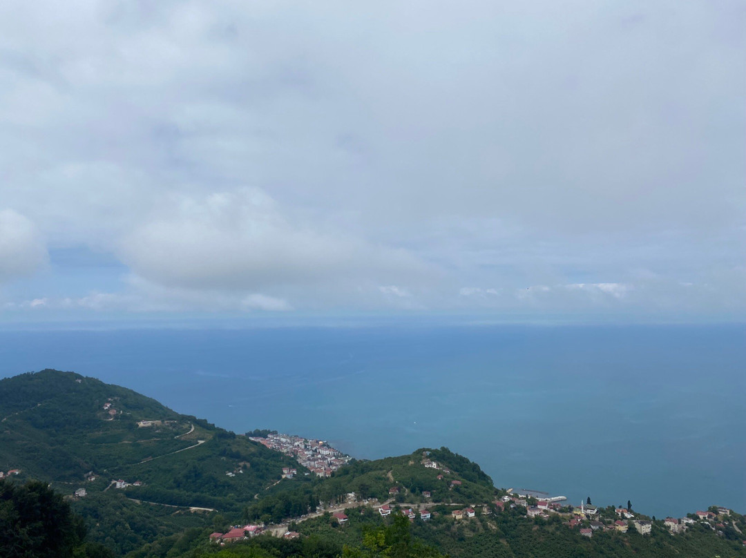Ordu Teleferik景点图片