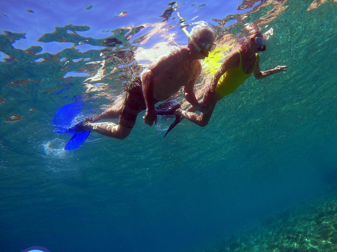 Ikion Diving Center景点图片