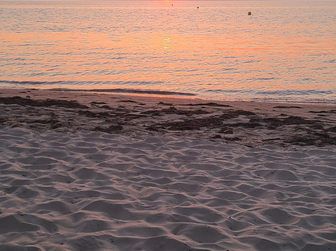 Plage de la Cepe景点图片
