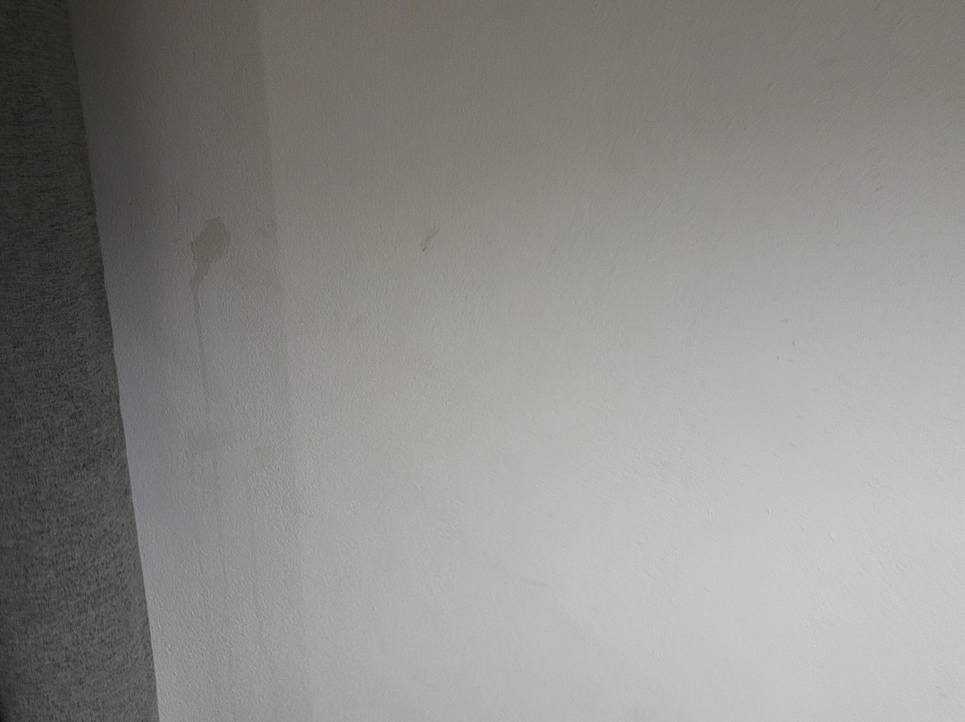 Hawthorn Suites by Wyndham Ardmore主图