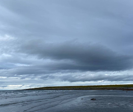 Andpersand-圣彼得堡必去景点