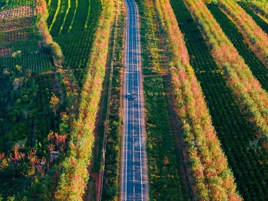 HANZ Pleiku Hotel主图