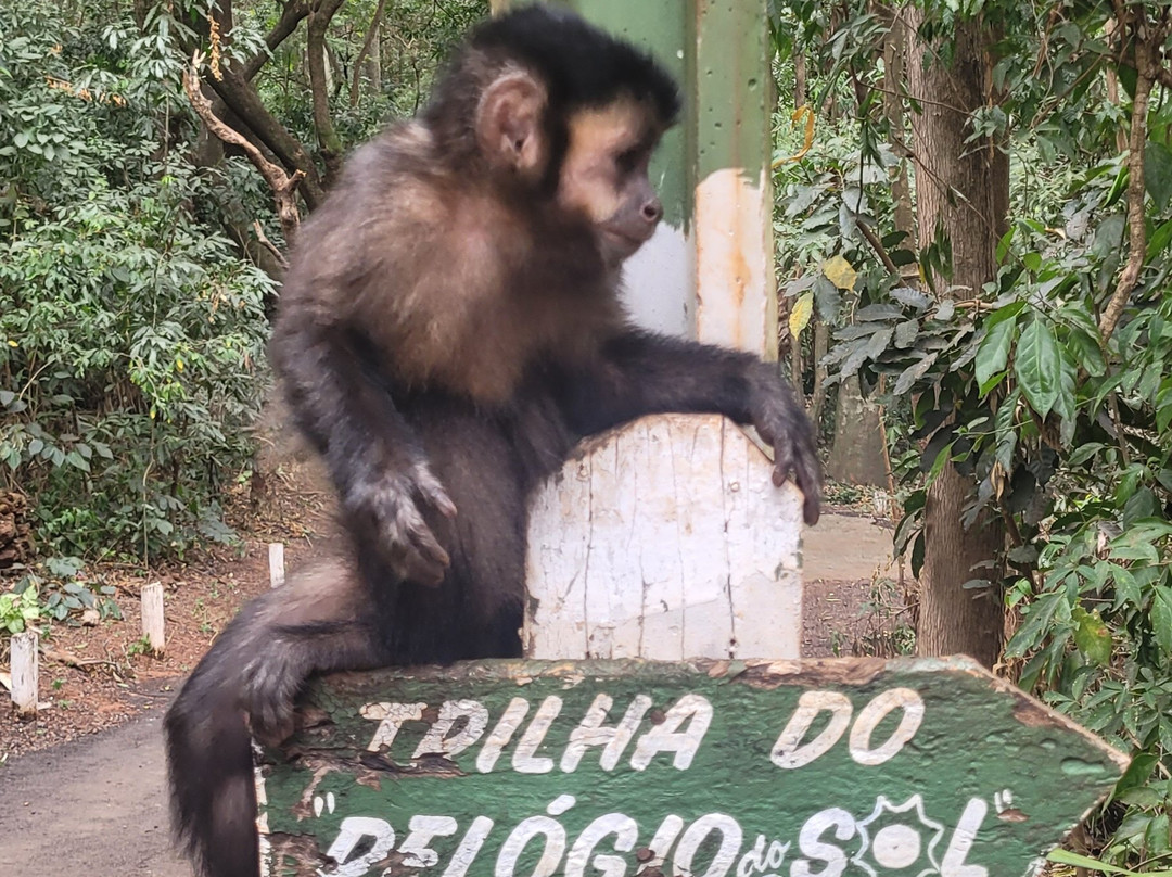 Biologa Tania Mara Netto Silva Ecological Park景点图片