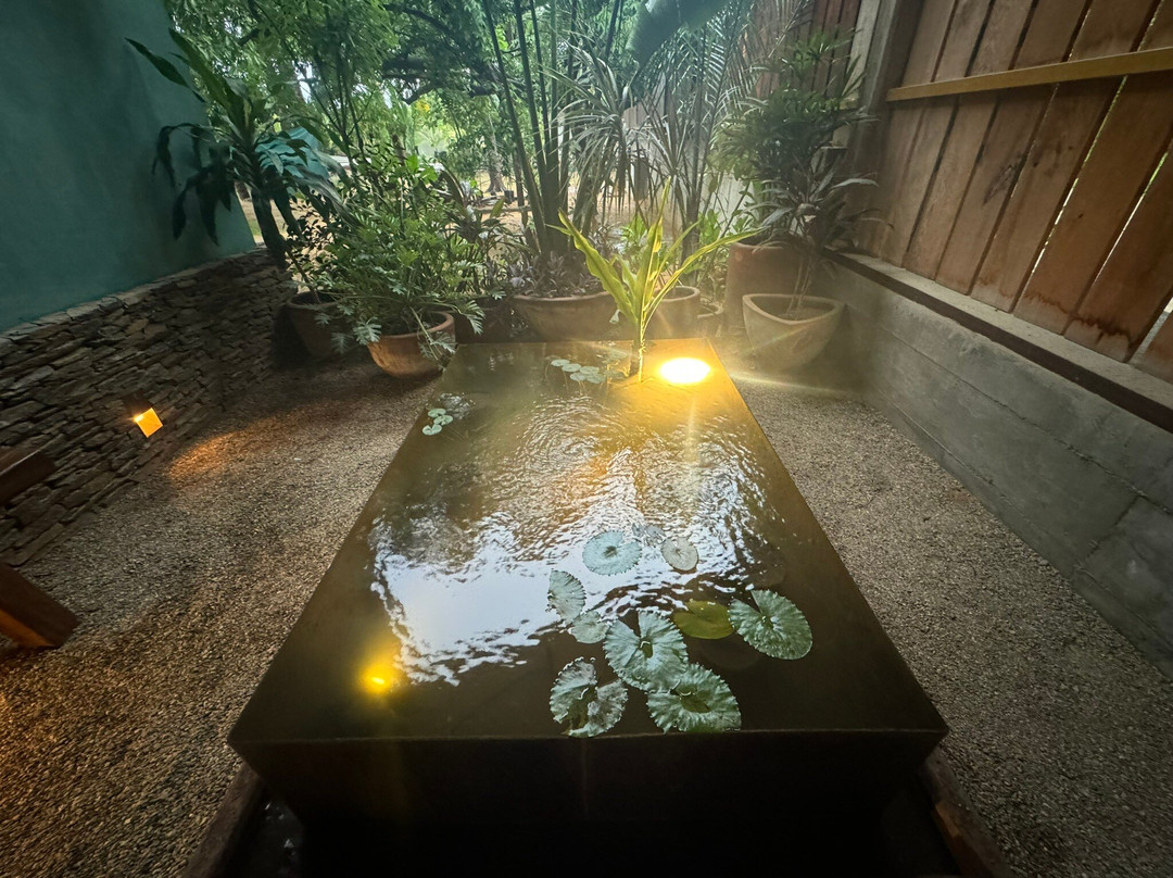 Playa Bacocho-埃斯孔迪多港必去景点