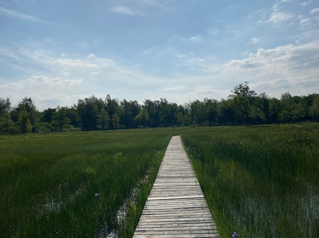 Irwin Prairie State Nature Preserve-托莱多必去景点