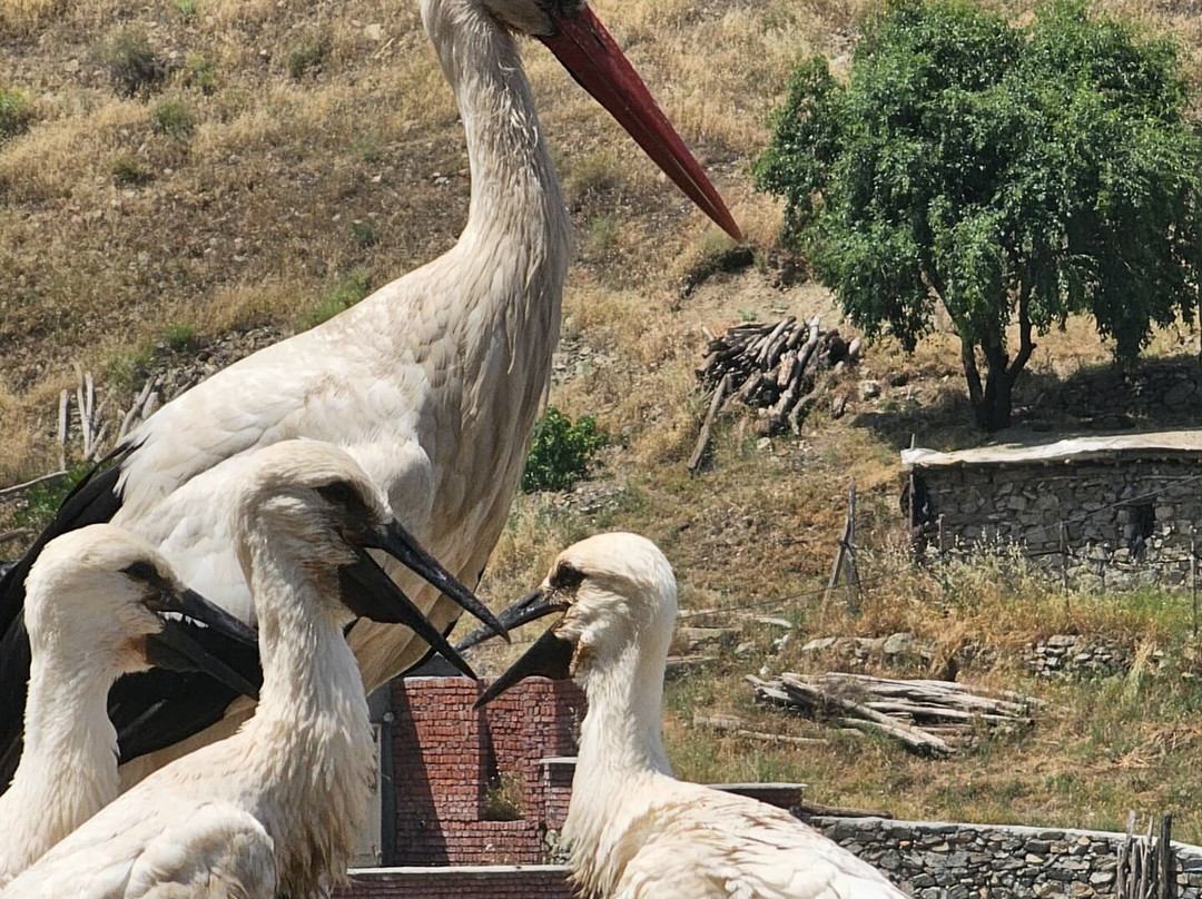 kurdistan with us景点图片