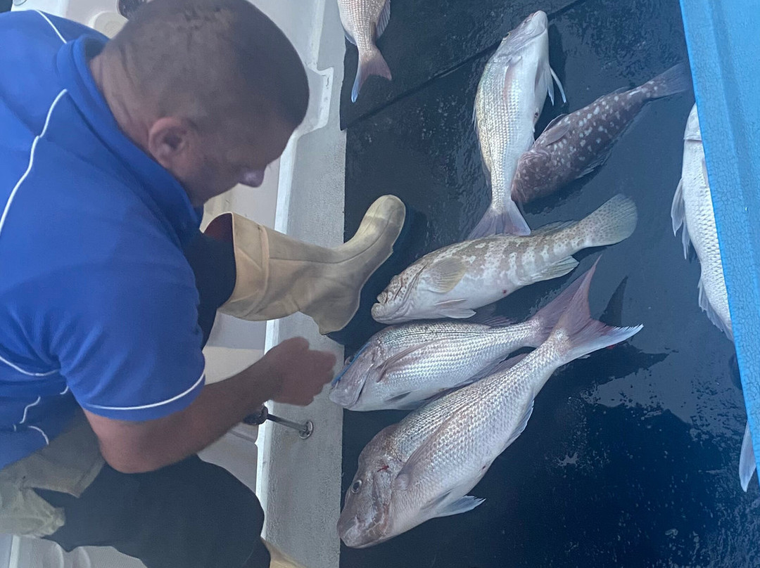 Mac Attack Fishing Charters-德纳姆必去景点