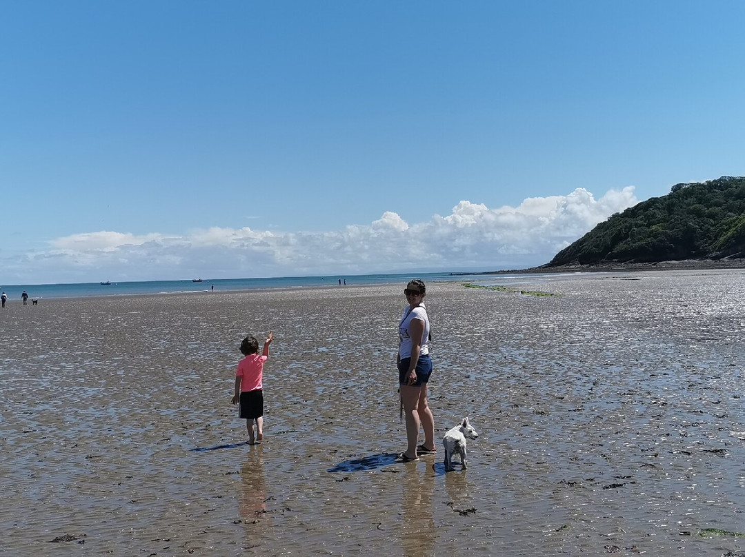 Oxwich Bay景点图片