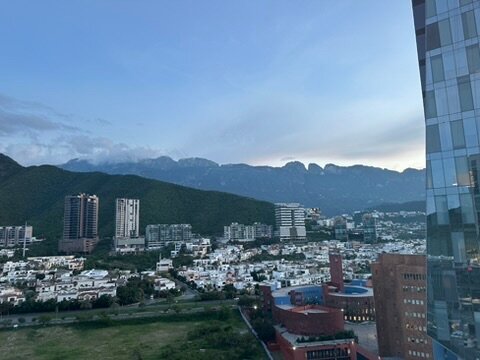 Hyatt Place Monterrey Valle-酒店景观