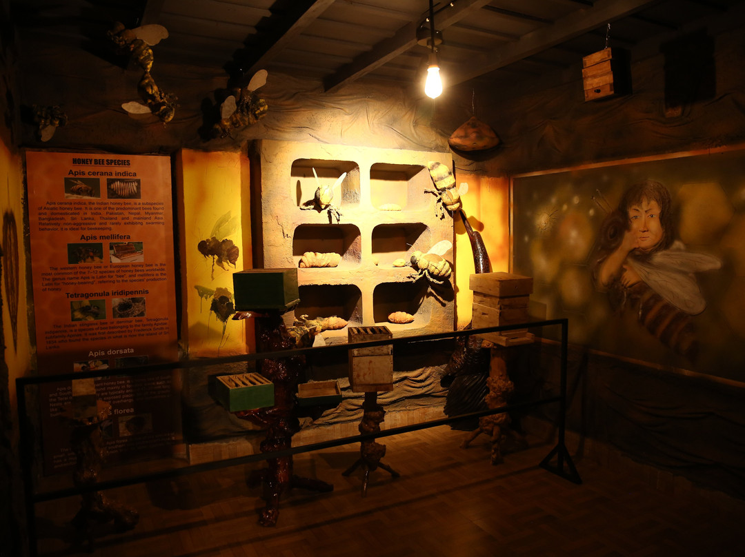 Honey Museum Wayanad
