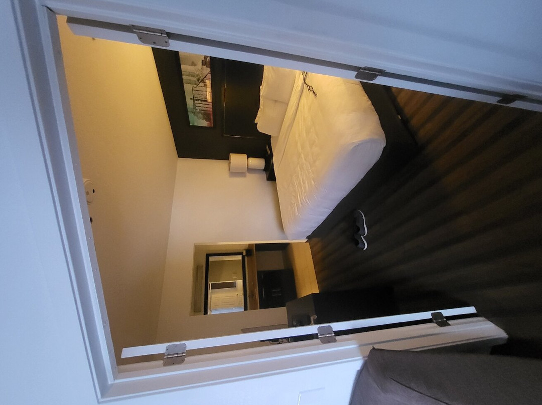 赫恩登凯悦酒店主图