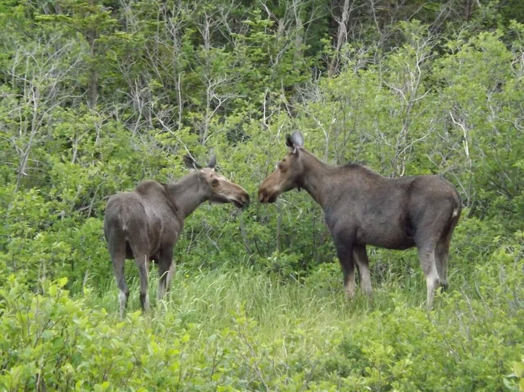 St. Christopher's Hotel主图