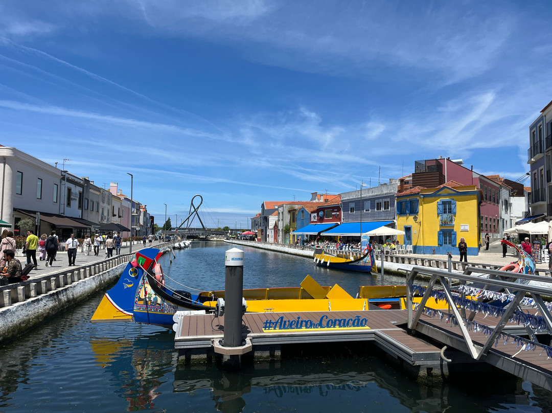 Canal Central de Aveiro景点图片