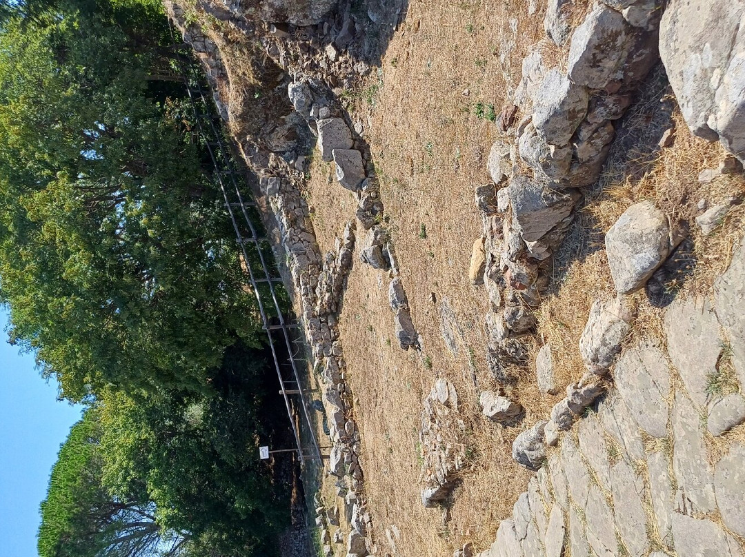 Area Archeologica di Vetulonia-佩斯卡亚堡必去景点