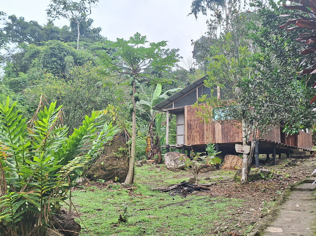 Amazon Peru Travellers-库斯科必去景点
