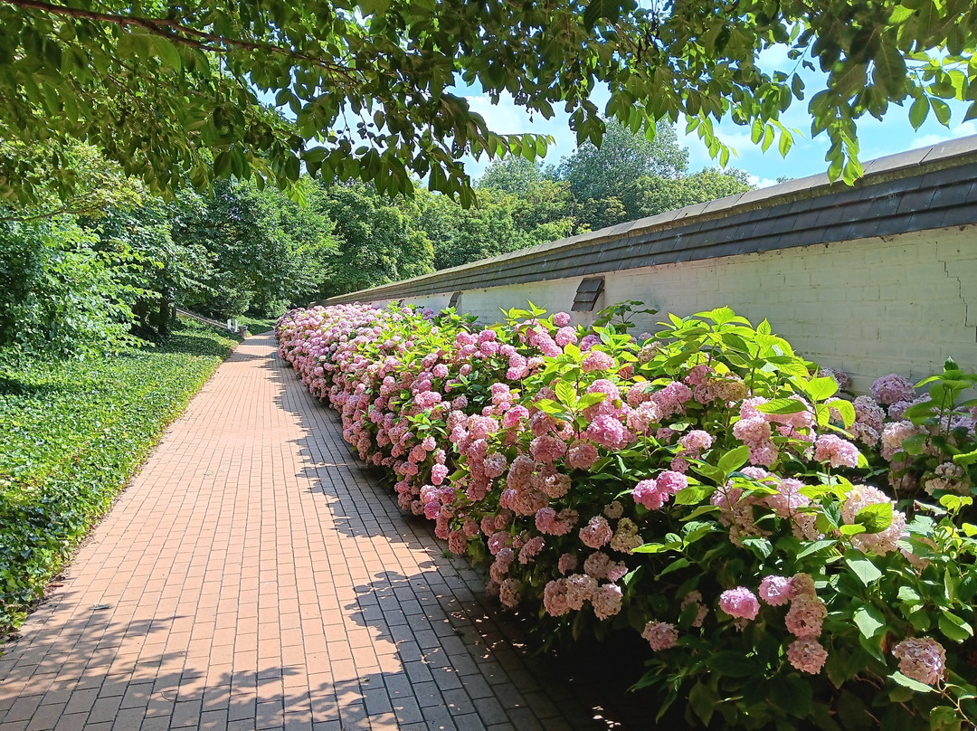 Jardin Japonais-奥斯坦德必去景点