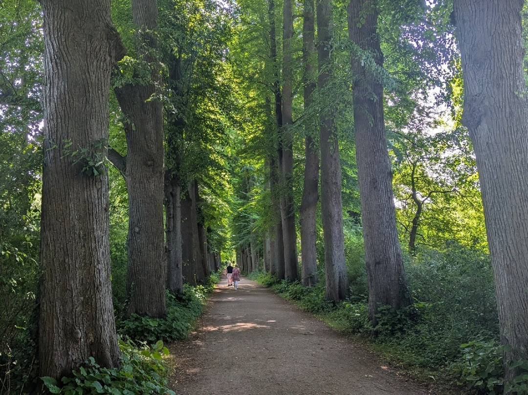 Eutiner Schlossgarten景点图片