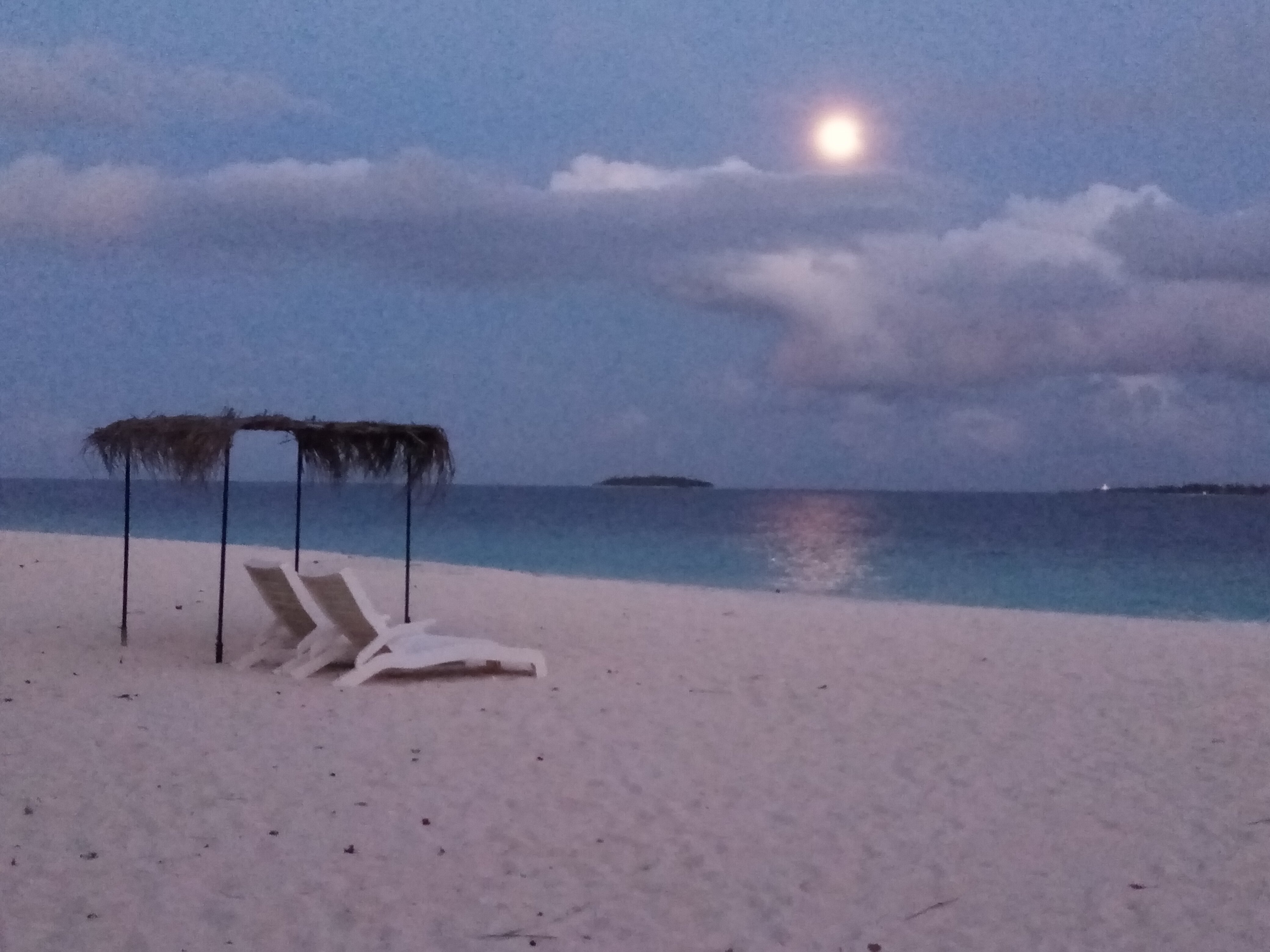 Kamadhoo Inn-泳池
