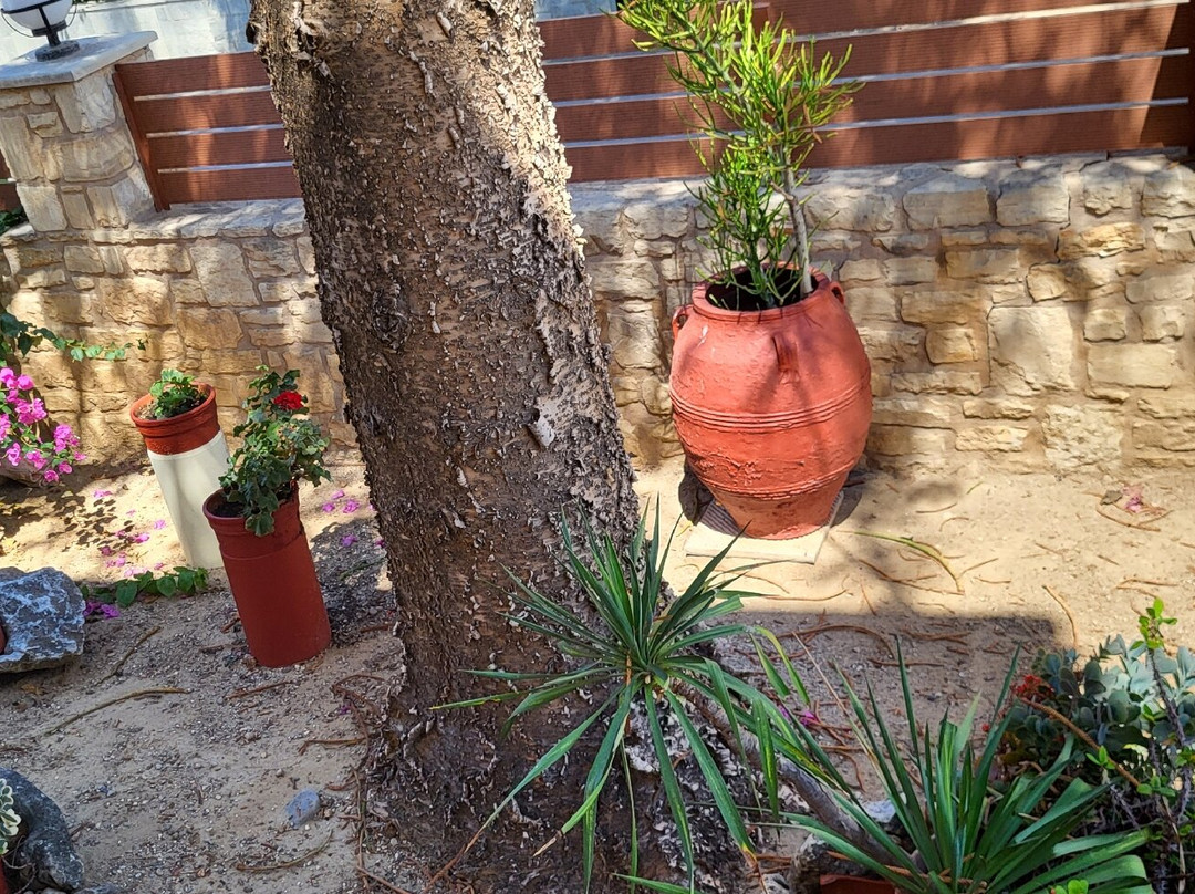 Marva Apartments-Studios主图