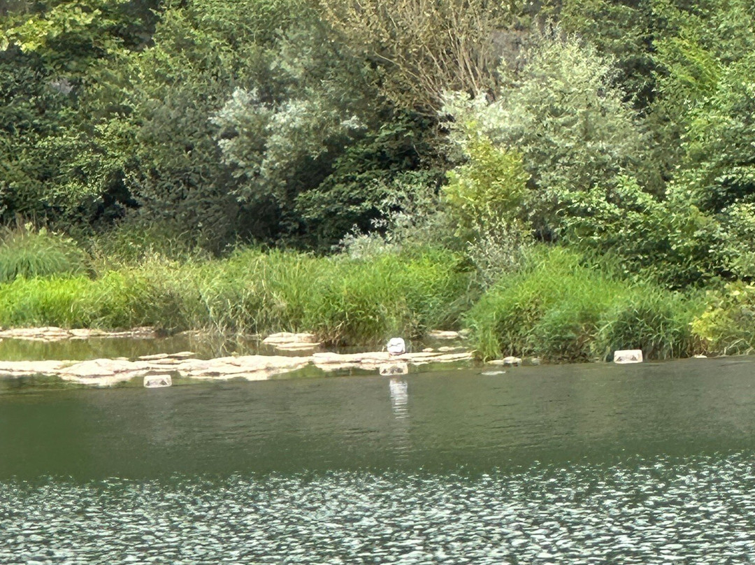 Puente de Navarra-Tolosa必去景点