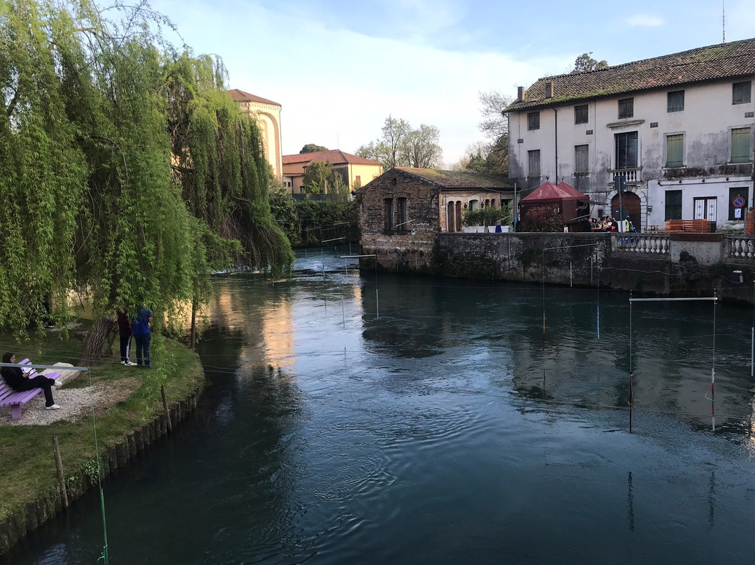 Fiume Livenza景点图片