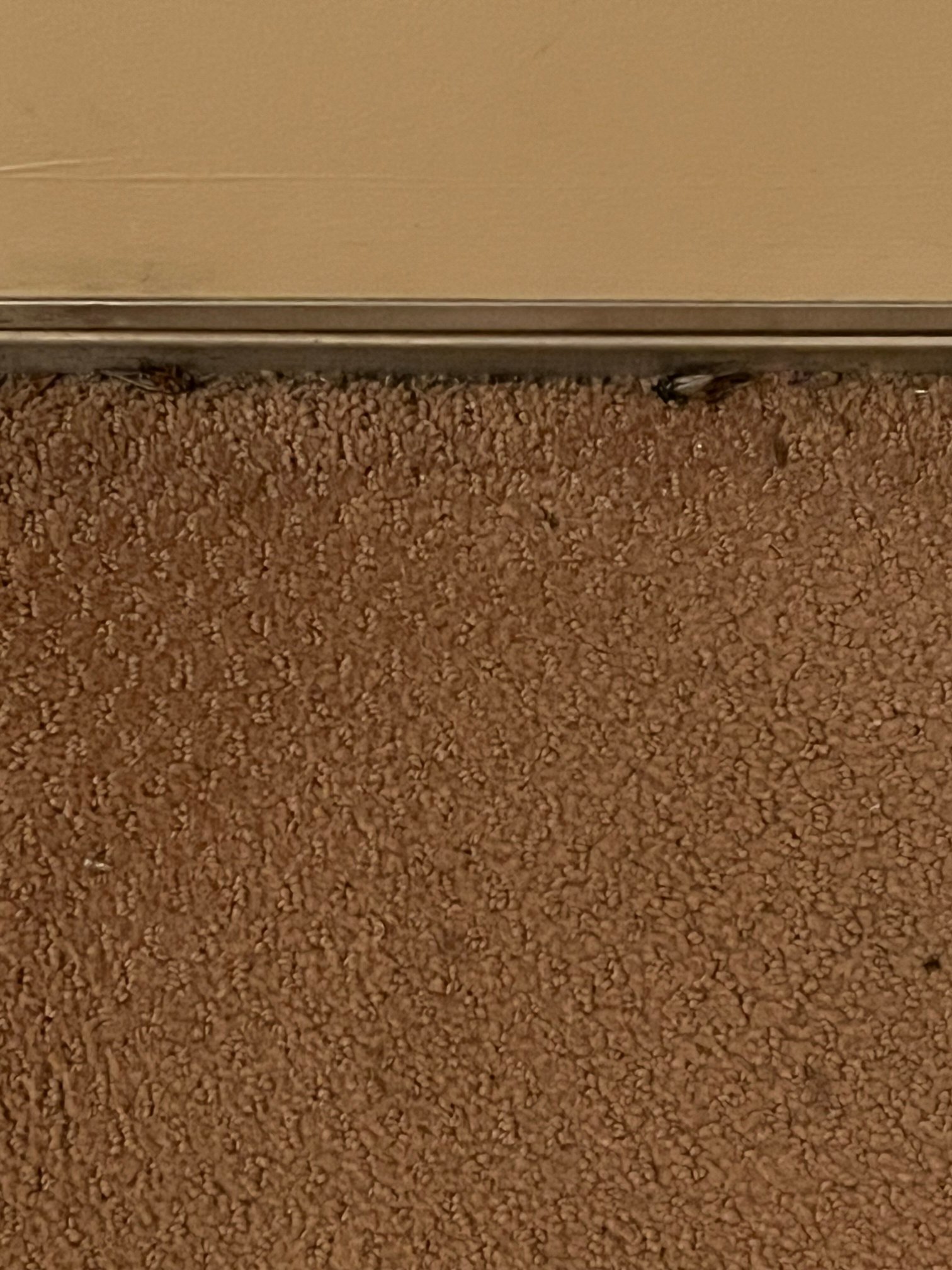 Saddle West Hotel, Casino and RV Park-官方