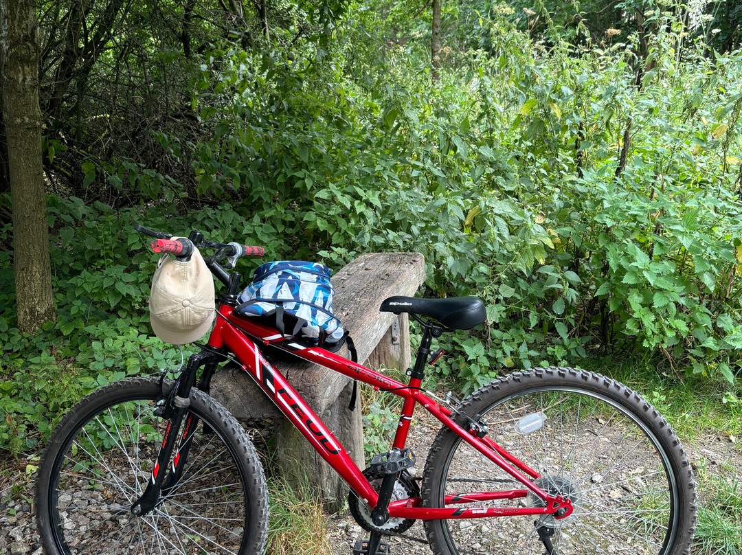 The Phoenix Trail-Thame必去景点