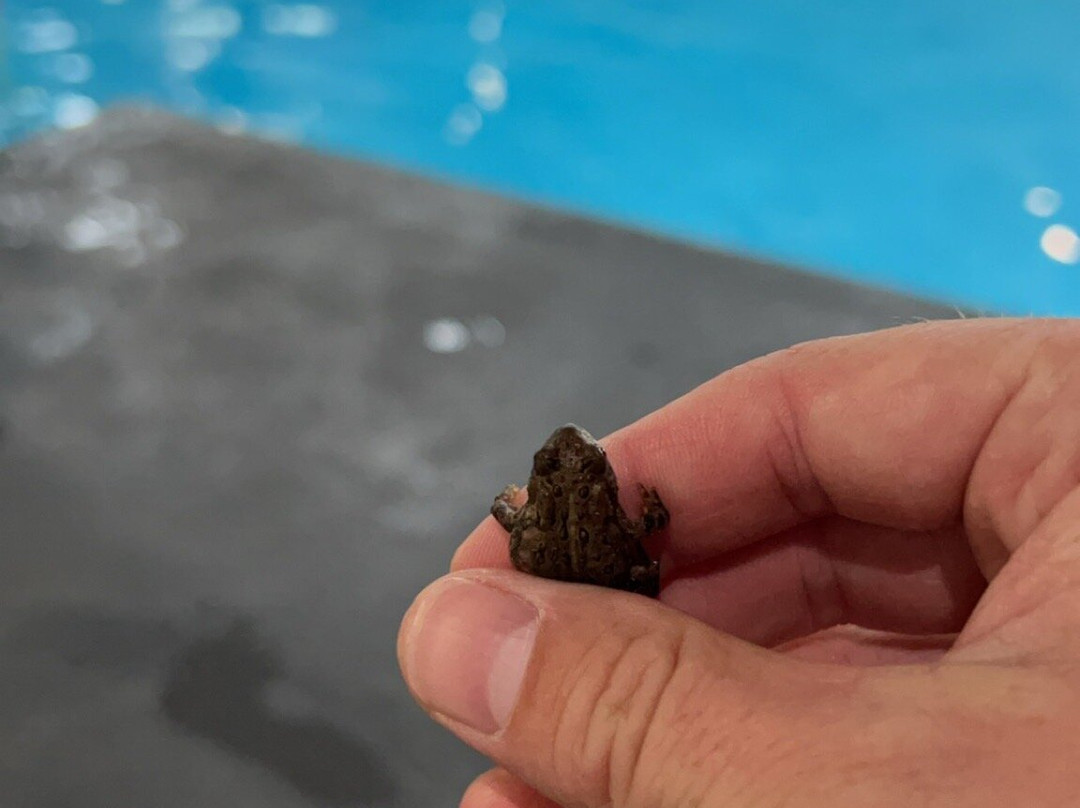 Stoney Creek Hotel La Crosse - Onalaska主图