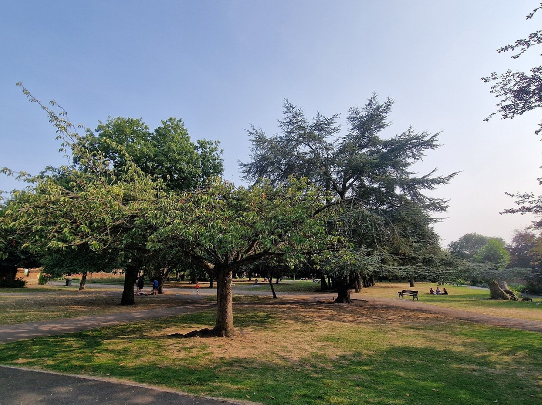 Cedars Park景点图片