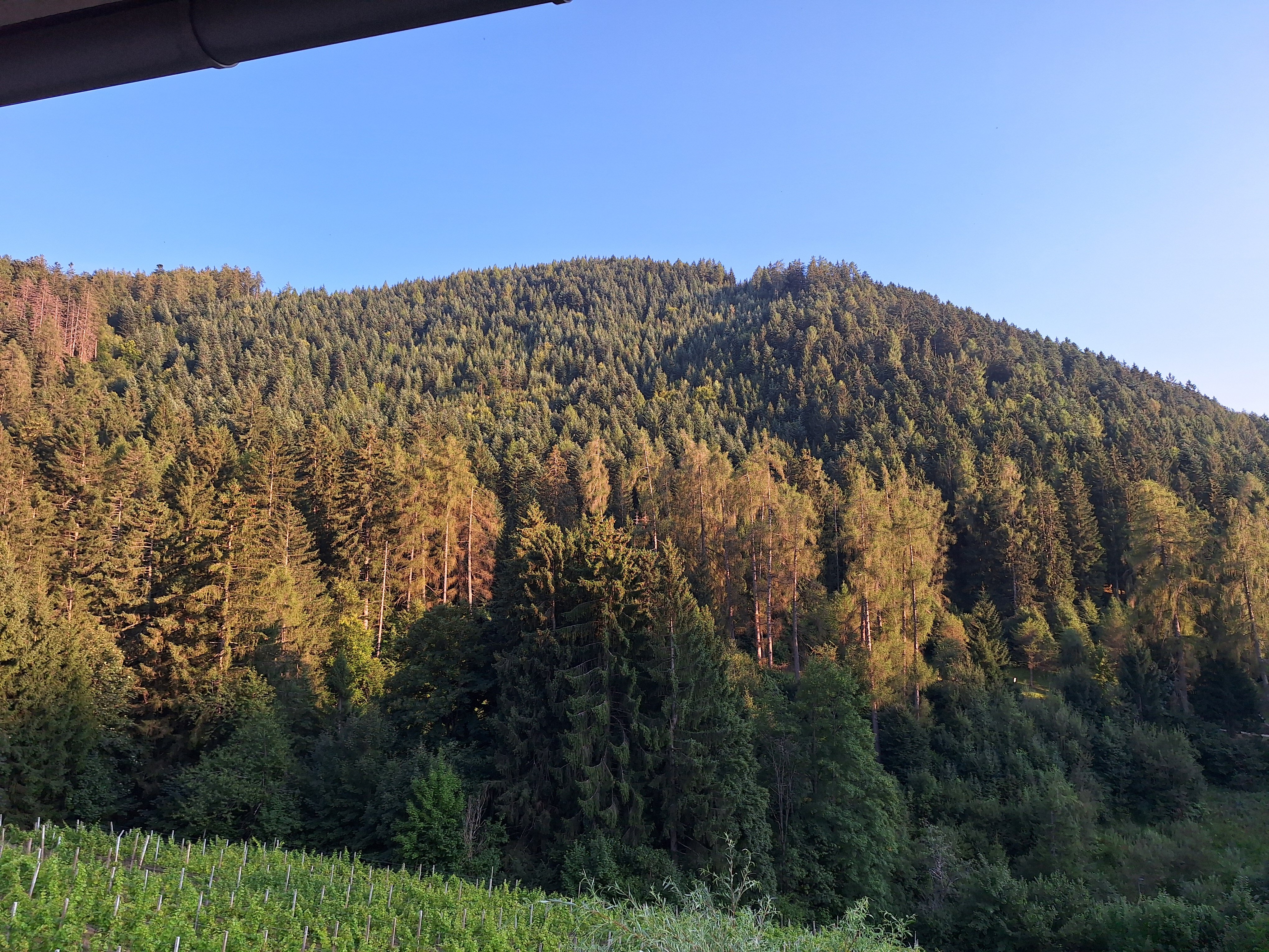 Hotel Ludwigshof & Luvina-浴室