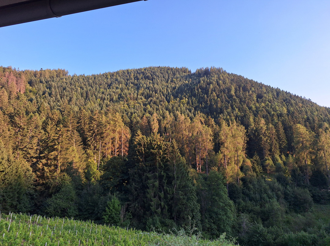 Hotel Ludwigshof & Luvina主图