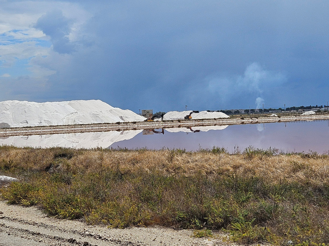 Riserva Naturale di Stato Saline di Margherita di Savoia-Margherita di Savoia必去景点
