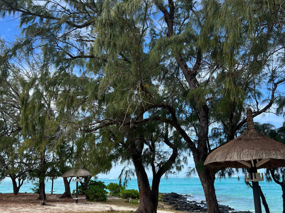 Catamaran Cruises Mauritius-马喜埔必去景点