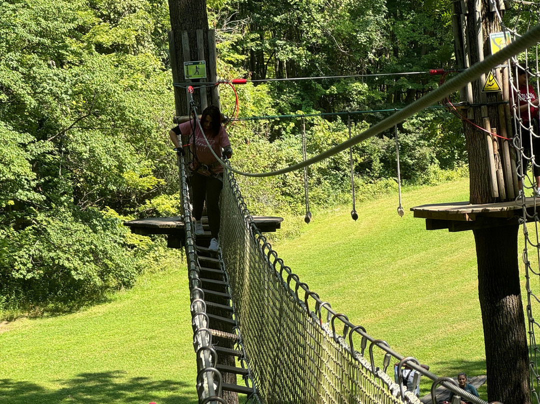 Go Ape Zipline & Adventure Park-印第安纳波利斯必去景点