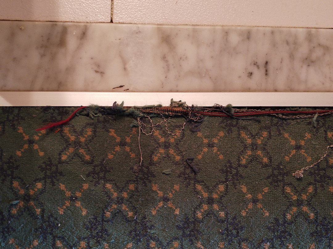 El Mouradi Skanes主图