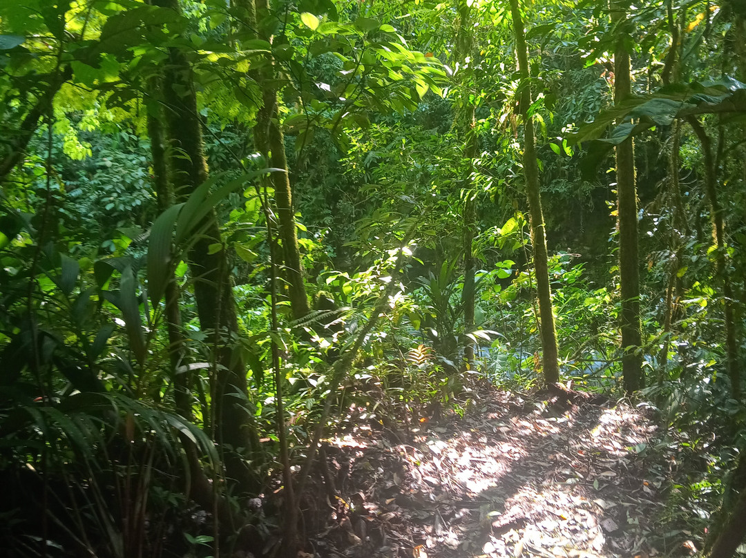 JC Nature Tour-蒙特维多云雾森林自然保护区必去景点