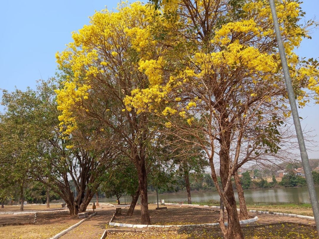 Parque Julia Imperatori景点图片