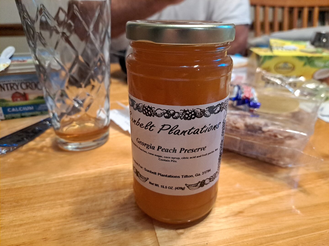 Magnolia Plantation-蒂夫顿必去景点