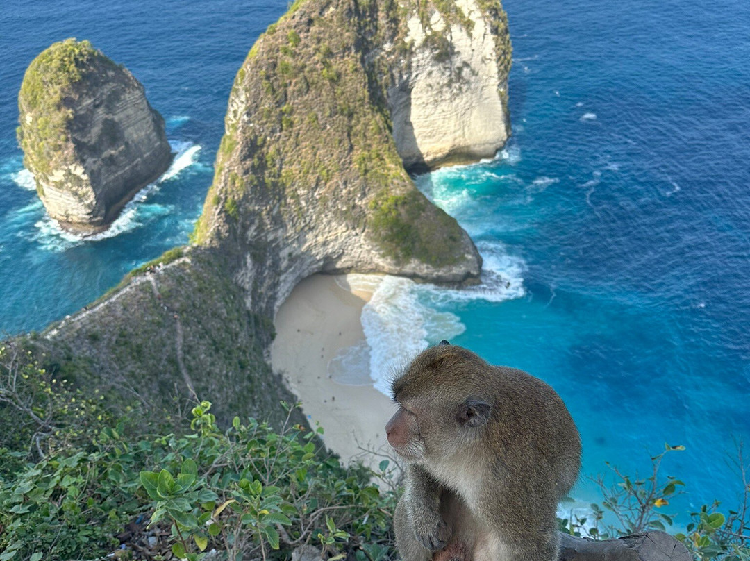 Mustika Nusa Penida Tour-珀尼达岛必去景点