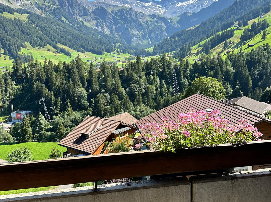 Hotel Steinmattli主图