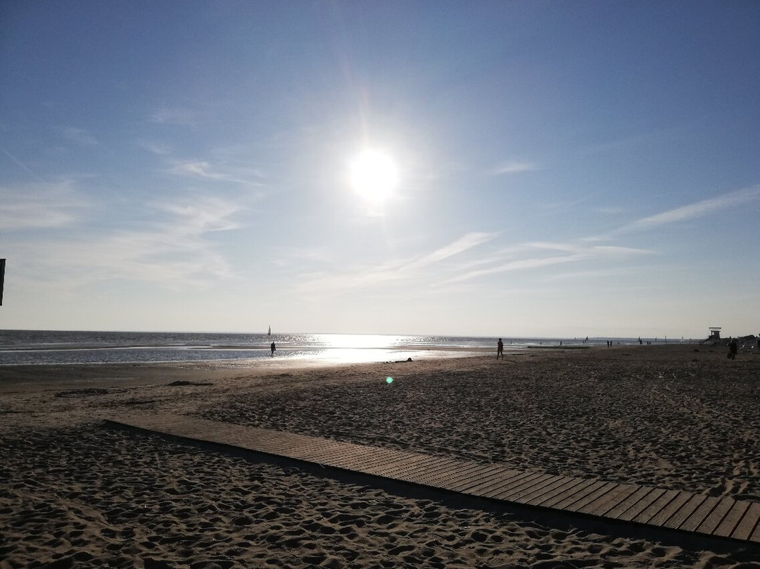 Parnu Beach Promenade-派尔努必去景点