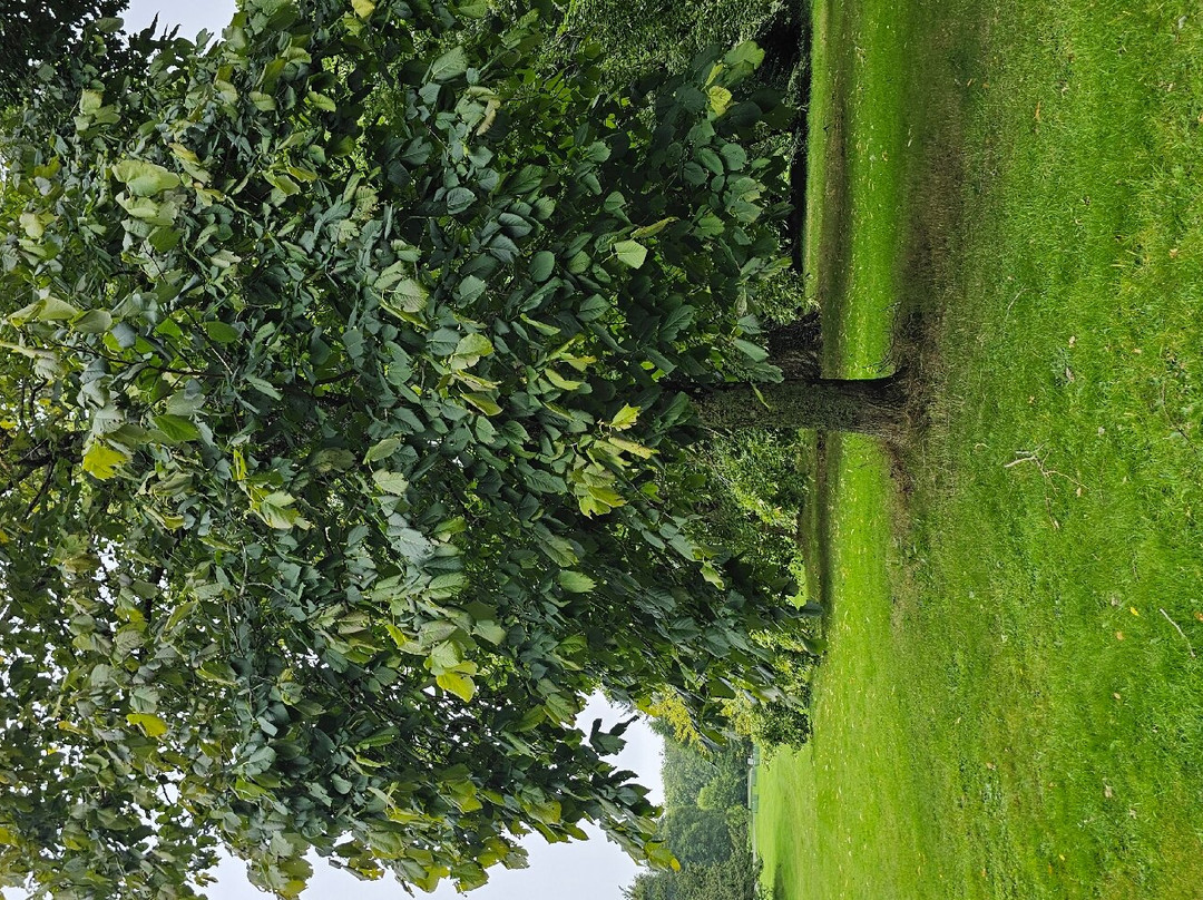 约翰‧肯尼迪植物园景点图片