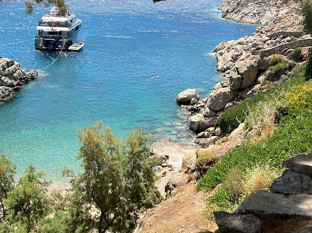 The Wild by Interni主图