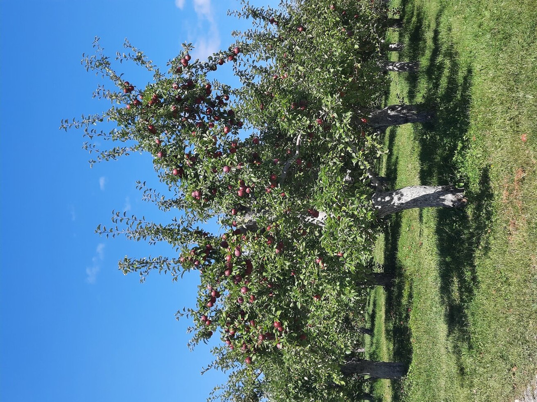 Furnace Brook Winery at Hilltop Orchards景点图片