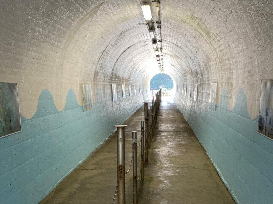 Katsuura Undersea Park-胜浦市必去景点