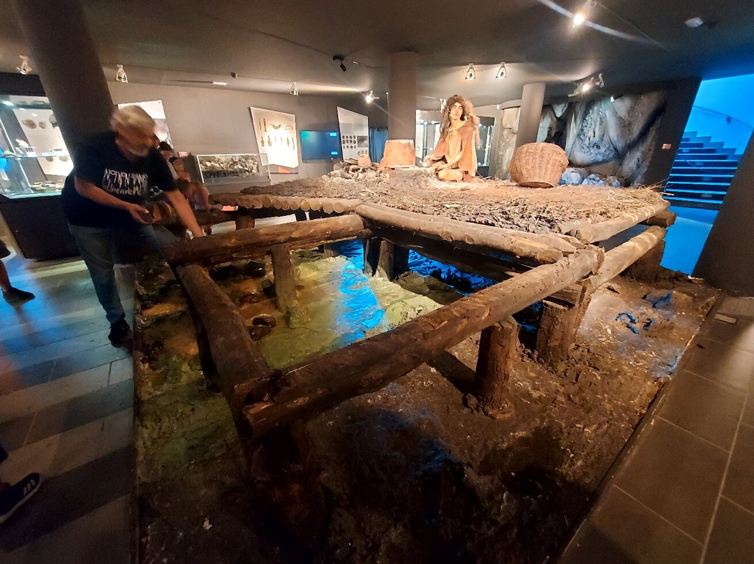 Museo Speleo-Archeologico景点图片